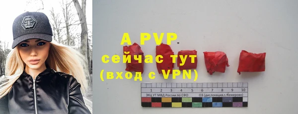 apvp Алексин