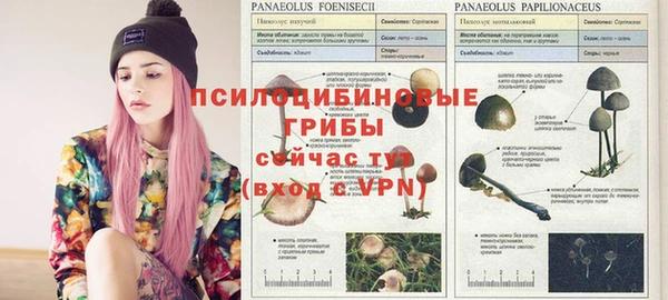 PSILOCYBIN Алексеевка