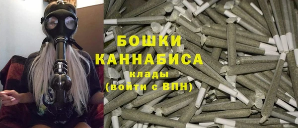 PSILOCYBIN Алексеевка