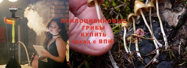 герыч Алзамай