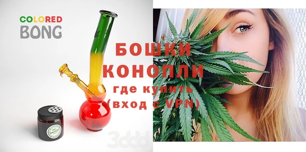 PSILOCYBIN Алексеевка