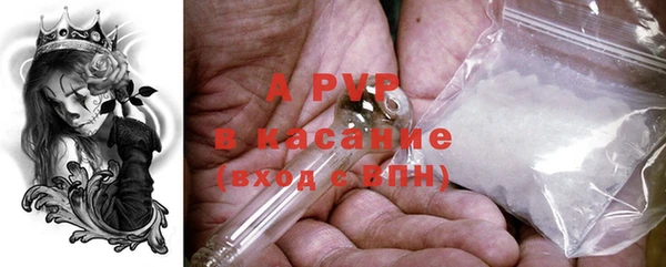 apvp Алексин