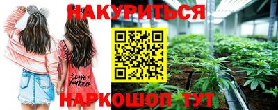 Альфа ПВП Донской