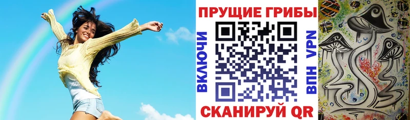 Галлюциногенные грибы Psilocybine cubensis  где купить наркотик  Лосино-Петровский 