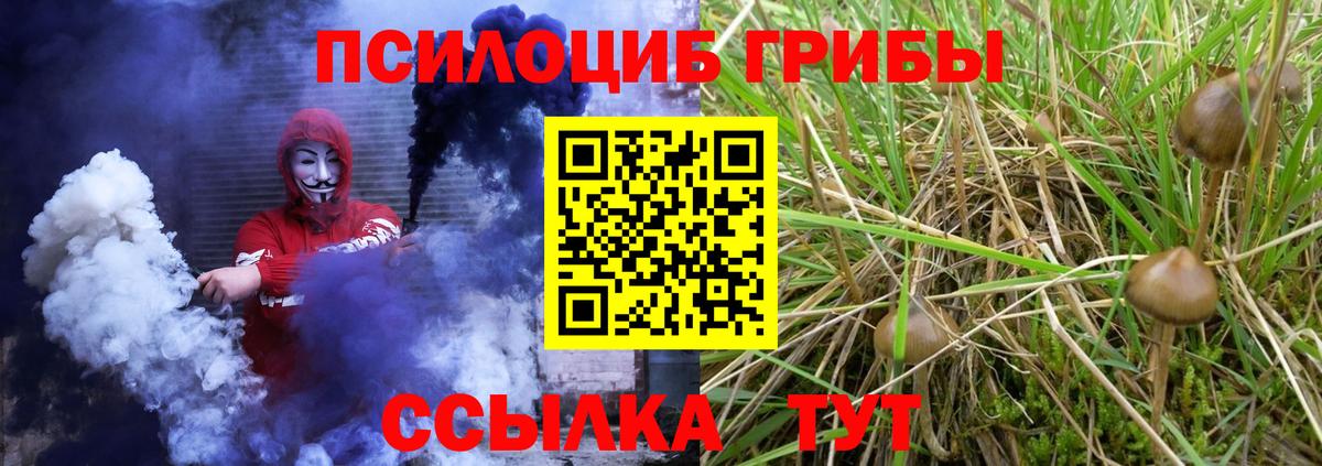 где купить наркоту  Галлюциногенные грибы Psilocybine cubensis  Лосино-Петровский  Вход с VPN  Галлюциногенные грибы GOLDEN TEACHER 